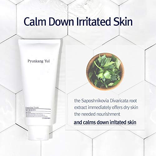 Cleansing Foam