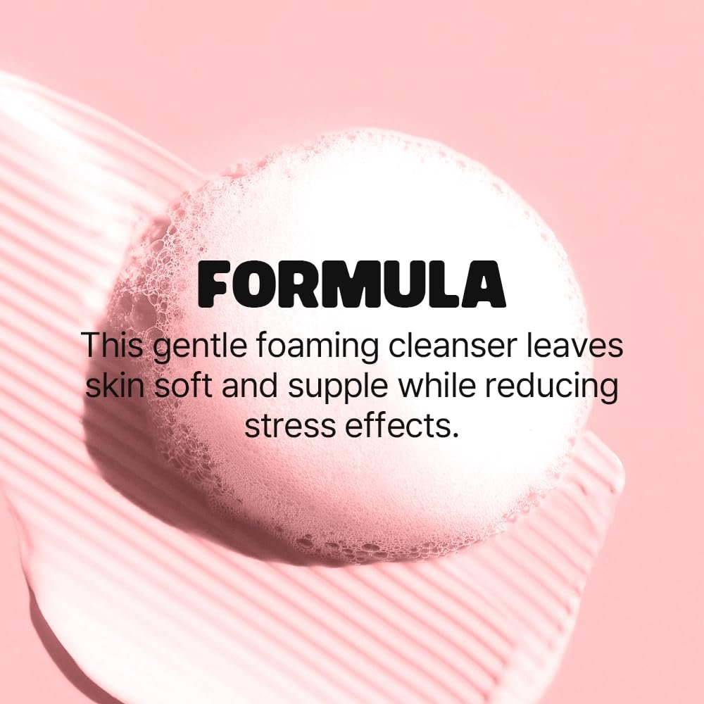 Hyaluronic Solution Moist Cleansing Foam