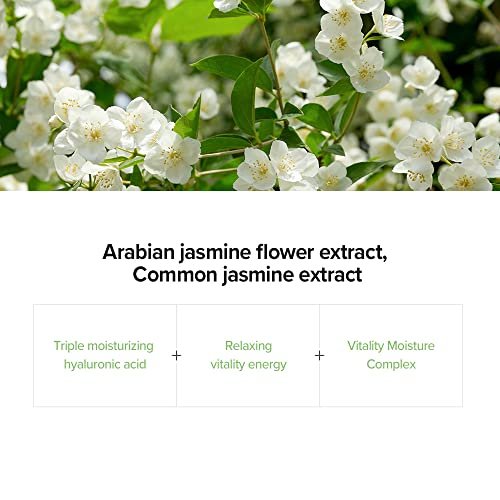 Active Jasmine Tone Up Mask Ultimate