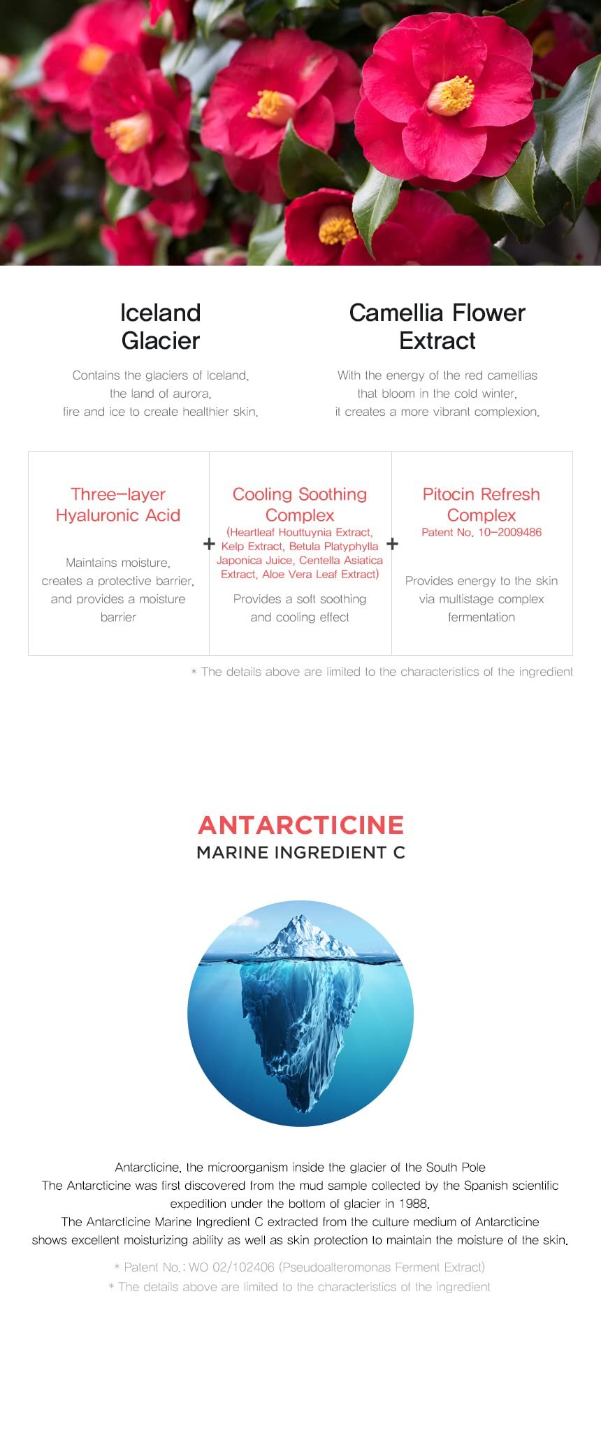 Camellia Glacier Water Iceland Mask Snow