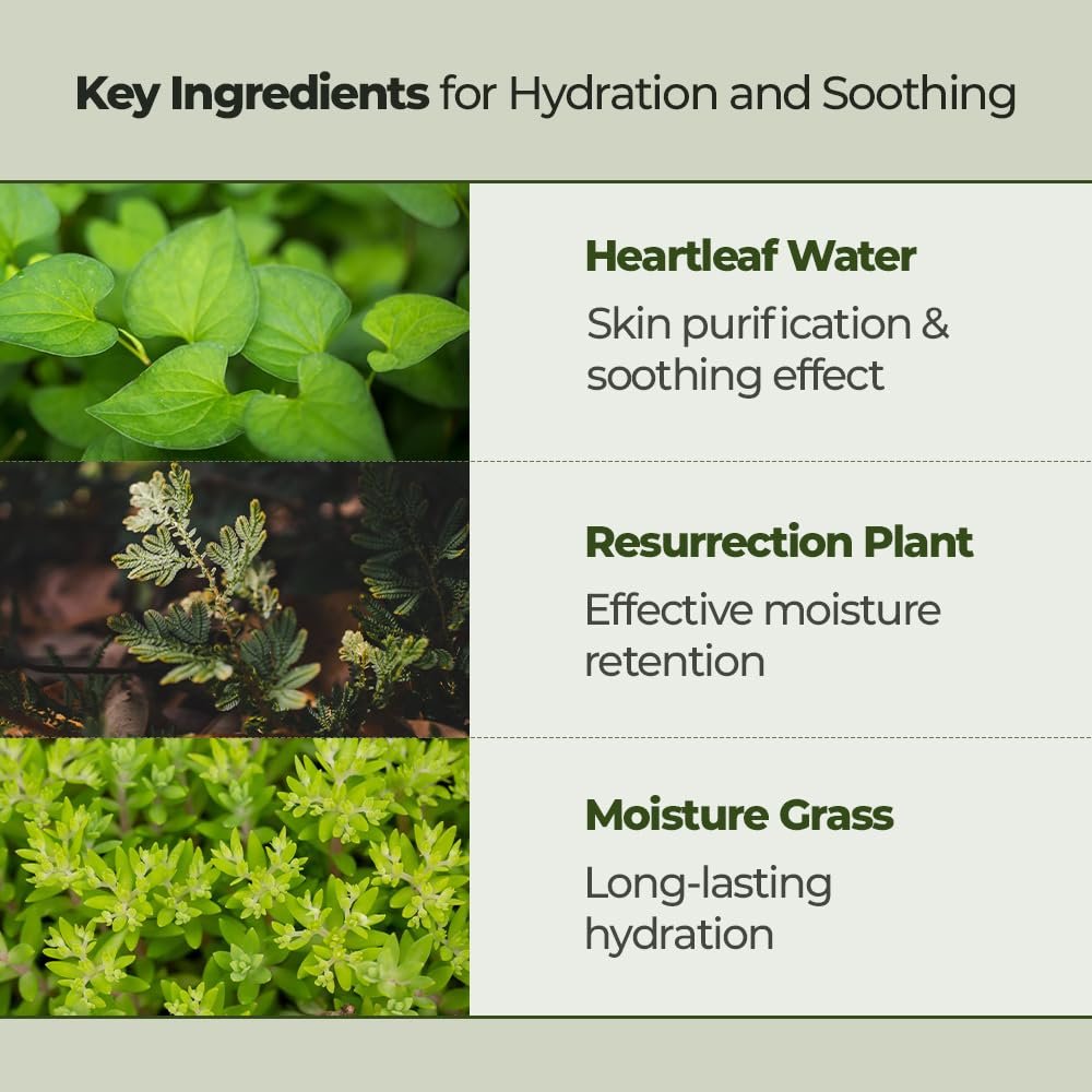Houttuynia Cordata 88 Pore Cleansing Oil