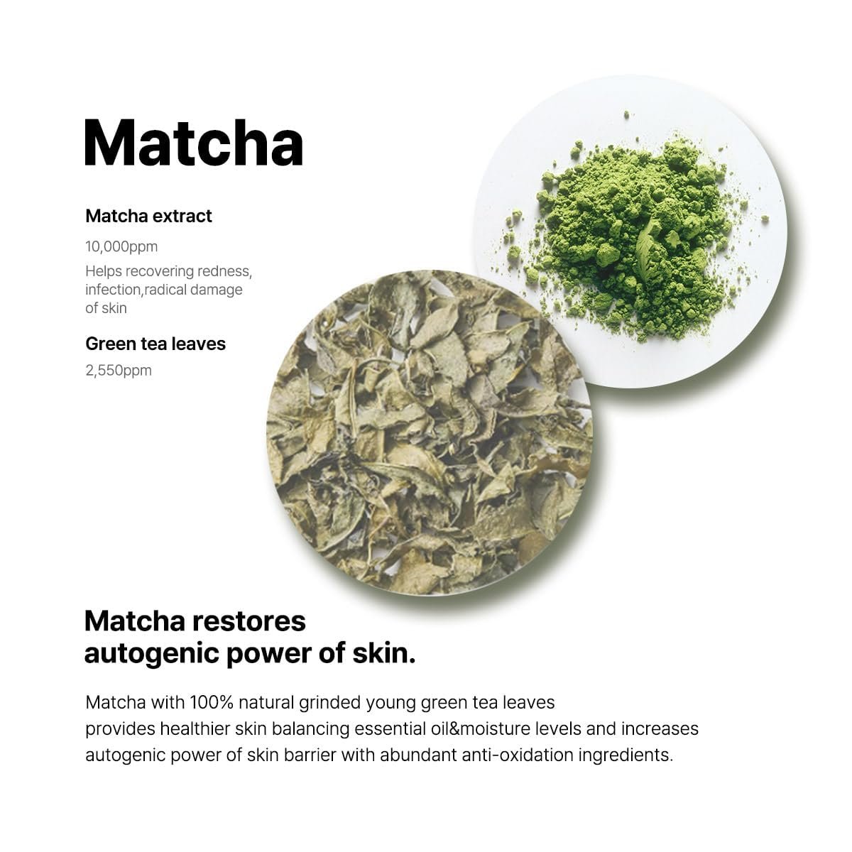 Matcha Hydrating Foam Cleanser