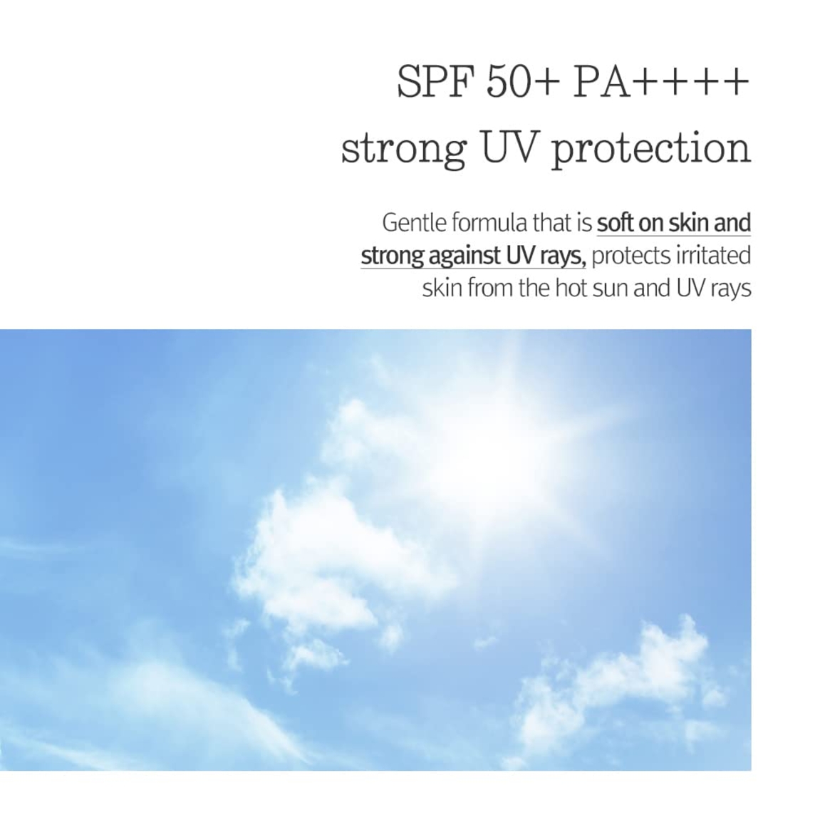 Moisture Soothing Sun Cream