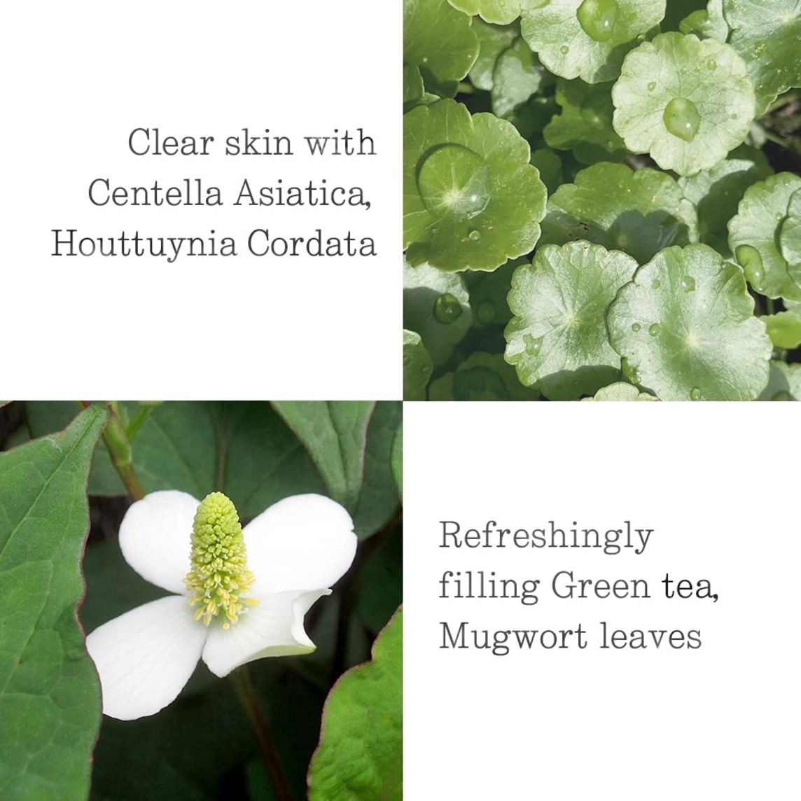 Moisture Soothing Sun Cream