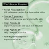 Centella Phyto & 5 Peptide Concentrate Cream Refill