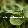 Calming Clear Spot Patch (Intensive Care)