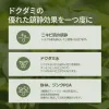Houttuynia Cordata 88 Deep Cleansing Foam