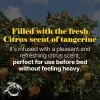Horse Oil Cream