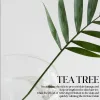 Tea Tree Soothing Essence Microshot 100