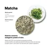 Matcha Hydrating Foam Cleanser