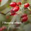 Rosehip Please Youthful Serum